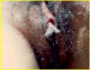 Kristin Davis naked picture