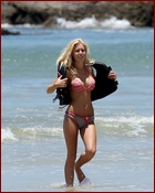 heidi-montag_09.jpg - 116 KB