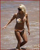 pamela-anderson_04.jpg - 148 KB