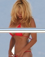 pamela-anderson_08.jpg - 78 KB