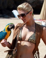 paris-hilton_09.jpg - 116 KB