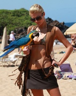 paris-hilton_10.jpg - 139 KB