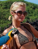 paris-hilton_13.jpg - 143 KB