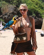 paris-hilton_14.jpg - 129 KB