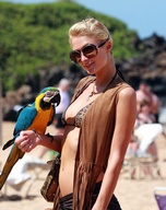 paris-hilton_15.jpg - 134 KB