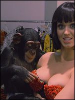 Katy Perry Nude Pictures