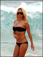 Pamela Anderson Nude Pictures