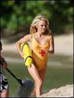 Pamela Anderson Nude Pictures