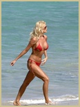 victoria-silvstedt_13.jpg - 113 KB