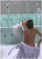 Arielle Kebbel nude