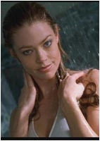 Denise Richards nude