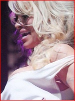 pamela-anderson_09.jpg - 79 KB