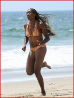 venus-williams_07.jpg - 151 KB