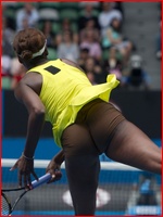 venus-williams_11.jpg - 125 KB