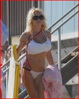 pamela-anderson_01.jpg - 108 KB