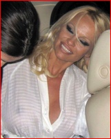 pamela-anderson_08.jpg - 87 KB