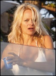 pamela-anderson_06.jpg - 187 KB