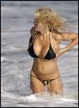 pamela-anderson_10.jpg - 181 KB