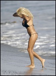 pamela-anderson_14.jpg - 147 KB