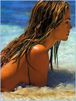 Denise Richards Nude Pictures