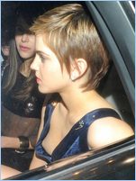 Emma Watson Nude Pictures