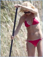 Gwyneth Paltrow Nude Pictures